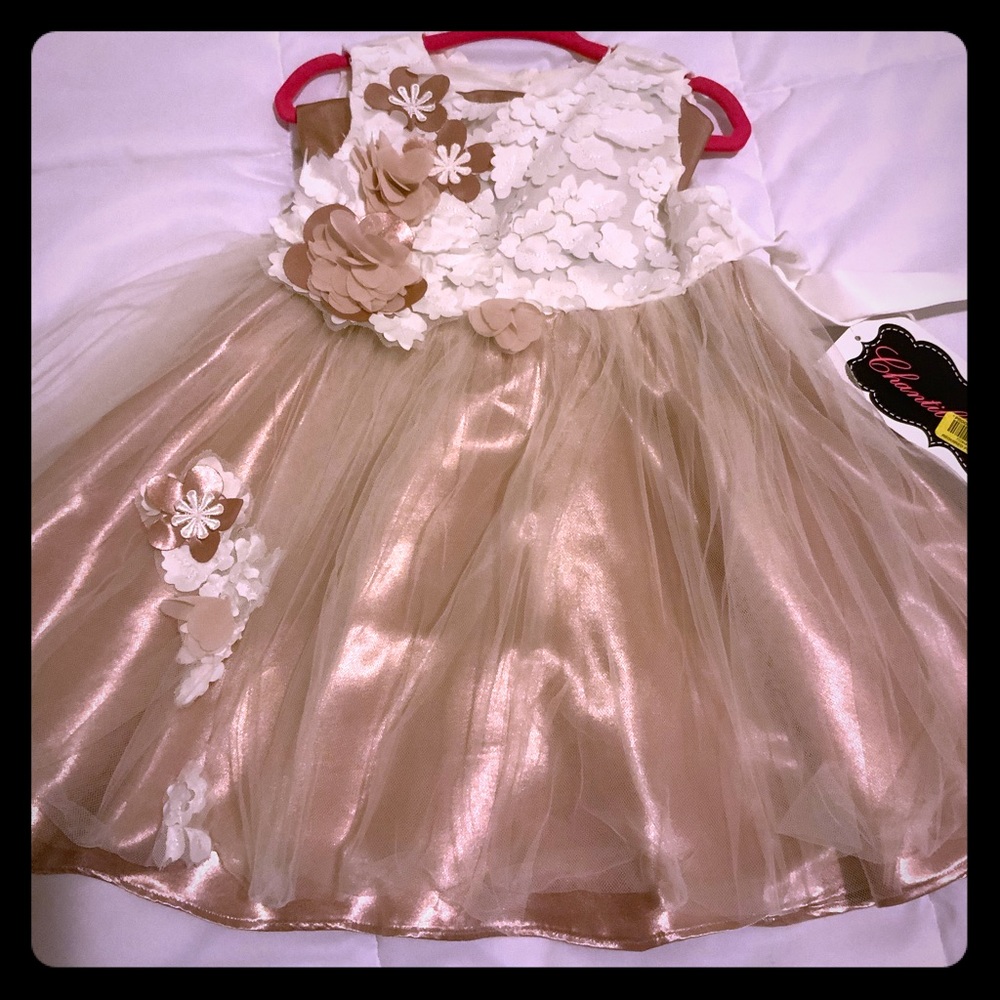 Girls dress/ new with tags / brown and of white